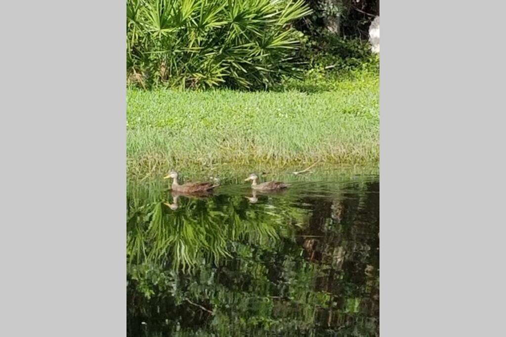 Bonita Oasis Villa Bonita Springs Exteriör bild